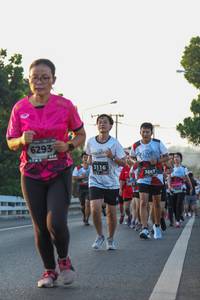 BIB: 6293, 3116, 3847
                            <button type="button" onclick="openModal(6426477)" class="btn btn-primary btn-sm float-right btn-popup" data-toggle="modal" data-target=".modal-high-quality">
                        <i class="fas fa-shopping-cart"></i> Add to Cart
                    </button>
                                            <button type="button" onclick="isThisMe(6426477, true)" class="btn btn-success btn-sm float-right btn-popup btn-isme hidden" data-toggle="tooltip" data-placement="bottom" title="นี่คือรูปของคุณใช่ไหม คลิกที่นี่เพื่อเอาเข้าอัลบั้ม">
                        <i class="fas fa-plus"></i> Add to album
                    </button>
                    <button type="button" onclick="isThisMe(6426477, false)" class="btn btn-warning btn-sm float-right btn-popup btn-isnotme hidden">
                        <i class="fas fa-ban"></i> Remove from album
                    </button>