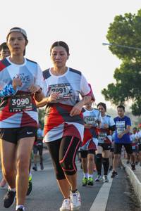 BIB: 7991, 3090, 7689, 413, 444
                            <button type="button" onclick="openModal(6429250)" class="btn btn-primary btn-sm float-right btn-popup" data-toggle="modal" data-target=".modal-high-quality">
                        <i class="fas fa-shopping-cart"></i> Add to Cart
                    </button>
                                            <button type="button" onclick="isThisMe(6429250, true)" class="btn btn-success btn-sm float-right btn-popup btn-isme hidden" data-toggle="tooltip" data-placement="bottom" title="นี่คือรูปของคุณใช่ไหม คลิกที่นี่เพื่อเอาเข้าอัลบั้ม">
                        <i class="fas fa-plus"></i> Add to album
                    </button>
                    <button type="button" onclick="isThisMe(6429250, false)" class="btn btn-warning btn-sm float-right btn-popup btn-isnotme hidden">
                        <i class="fas fa-ban"></i> Remove from album
                    </button>