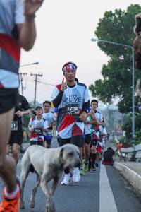 BIB: 3708, 3829
                            <button type="button" onclick="openModal(6420241)" class="btn btn-primary btn-sm float-right btn-popup" data-toggle="modal" data-target=".modal-high-quality">
                        <i class="fas fa-shopping-cart"></i> Add to Cart
                    </button>
                                            <button type="button" onclick="isThisMe(6420241, true)" class="btn btn-success btn-sm float-right btn-popup btn-isme hidden" data-toggle="tooltip" data-placement="bottom" title="นี่คือรูปของคุณใช่ไหม คลิกที่นี่เพื่อเอาเข้าอัลบั้ม">
                        <i class="fas fa-plus"></i> Add to album
                    </button>
                    <button type="button" onclick="isThisMe(6420241, false)" class="btn btn-warning btn-sm float-right btn-popup btn-isnotme hidden">
                        <i class="fas fa-ban"></i> Remove from album
                    </button>