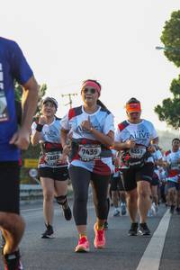 BIB: 7439, 6551, 7882
                            <button type="button" onclick="openModal(6429283)" class="btn btn-primary btn-sm float-right btn-popup" data-toggle="modal" data-target=".modal-high-quality">
                        <i class="fas fa-shopping-cart"></i> Add to Cart
                    </button>
                                            <button type="button" onclick="isThisMe(6429283, true)" class="btn btn-success btn-sm float-right btn-popup btn-isme hidden" data-toggle="tooltip" data-placement="bottom" title="นี่คือรูปของคุณใช่ไหม คลิกที่นี่เพื่อเอาเข้าอัลบั้ม">
                        <i class="fas fa-plus"></i> Add to album
                    </button>
                    <button type="button" onclick="isThisMe(6429283, false)" class="btn btn-warning btn-sm float-right btn-popup btn-isnotme hidden">
                        <i class="fas fa-ban"></i> Remove from album
                    </button>