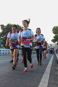 BIB: 7511, 6604, 7148
                            <button type="button" onclick="openModal(6426621)" class="btn btn-primary btn-sm float-right btn-popup" data-toggle="modal" data-target=".modal-high-quality">
                        <i class="fas fa-shopping-cart"></i> Add to Cart
                    </button>
                                            <button type="button" onclick="isThisMe(6426621, true)" class="btn btn-success btn-sm float-right btn-popup btn-isme hidden" data-toggle="tooltip" data-placement="bottom" title="นี่คือรูปของคุณใช่ไหม คลิกที่นี่เพื่อเอาเข้าอัลบั้ม">
                        <i class="fas fa-plus"></i> Add to album
                    </button>
                    <button type="button" onclick="isThisMe(6426621, false)" class="btn btn-warning btn-sm float-right btn-popup btn-isnotme hidden">
                        <i class="fas fa-ban"></i> Remove from album
                    </button>