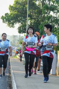 BIB: 7606, 7607, 7517
                            <button type="button" onclick="openModal(6433054)" class="btn btn-primary btn-sm float-right btn-popup" data-toggle="modal" data-target=".modal-high-quality">
                        <i class="fas fa-shopping-cart"></i> Add to Cart
                    </button>
                                            <button type="button" onclick="isThisMe(6433054, true)" class="btn btn-success btn-sm float-right btn-popup btn-isme hidden" data-toggle="tooltip" data-placement="bottom" title="นี่คือรูปของคุณใช่ไหม คลิกที่นี่เพื่อเอาเข้าอัลบั้ม">
                        <i class="fas fa-plus"></i> Add to album
                    </button>
                    <button type="button" onclick="isThisMe(6433054, false)" class="btn btn-warning btn-sm float-right btn-popup btn-isnotme hidden">
                        <i class="fas fa-ban"></i> Remove from album
                    </button>