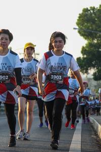 BIB: 3903, 902, 6708, 128
                            <button type="button" onclick="openModal(6431248)" class="btn btn-primary btn-sm float-right btn-popup" data-toggle="modal" data-target=".modal-high-quality">
                        <i class="fas fa-shopping-cart"></i> Add to Cart
                    </button>
                                            <button type="button" onclick="isThisMe(6431248, true)" class="btn btn-success btn-sm float-right btn-popup btn-isme hidden" data-toggle="tooltip" data-placement="bottom" title="นี่คือรูปของคุณใช่ไหม คลิกที่นี่เพื่อเอาเข้าอัลบั้ม">
                        <i class="fas fa-plus"></i> Add to album
                    </button>
                    <button type="button" onclick="isThisMe(6431248, false)" class="btn btn-warning btn-sm float-right btn-popup btn-isnotme hidden">
                        <i class="fas fa-ban"></i> Remove from album
                    </button>