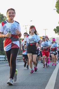 BIB: 6378, 764
                            <button type="button" onclick="openModal(6425579)" class="btn btn-primary btn-sm float-right btn-popup" data-toggle="modal" data-target=".modal-high-quality">
                        <i class="fas fa-shopping-cart"></i> Add to Cart
                    </button>
                                            <button type="button" onclick="isThisMe(6425579, true)" class="btn btn-success btn-sm float-right btn-popup btn-isme hidden" data-toggle="tooltip" data-placement="bottom" title="นี่คือรูปของคุณใช่ไหม คลิกที่นี่เพื่อเอาเข้าอัลบั้ม">
                        <i class="fas fa-plus"></i> Add to album
                    </button>
                    <button type="button" onclick="isThisMe(6425579, false)" class="btn btn-warning btn-sm float-right btn-popup btn-isnotme hidden">
                        <i class="fas fa-ban"></i> Remove from album
                    </button>