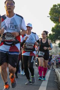 BIB: 7058, 7304, 1956
                            <button type="button" onclick="openModal(6428018)" class="btn btn-primary btn-sm float-right btn-popup" data-toggle="modal" data-target=".modal-high-quality">
                        <i class="fas fa-shopping-cart"></i> Add to Cart
                    </button>
                                            <button type="button" onclick="isThisMe(6428018, true)" class="btn btn-success btn-sm float-right btn-popup btn-isme hidden" data-toggle="tooltip" data-placement="bottom" title="นี่คือรูปของคุณใช่ไหม คลิกที่นี่เพื่อเอาเข้าอัลบั้ม">
                        <i class="fas fa-plus"></i> Add to album
                    </button>
                    <button type="button" onclick="isThisMe(6428018, false)" class="btn btn-warning btn-sm float-right btn-popup btn-isnotme hidden">
                        <i class="fas fa-ban"></i> Remove from album
                    </button>