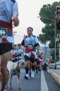 BIB: 3708
                            <button type="button" onclick="openModal(6420240)" class="btn btn-primary btn-sm float-right btn-popup" data-toggle="modal" data-target=".modal-high-quality">
                        <i class="fas fa-shopping-cart"></i> Add to Cart
                    </button>
                                            <button type="button" onclick="isThisMe(6420240, true)" class="btn btn-success btn-sm float-right btn-popup btn-isme hidden" data-toggle="tooltip" data-placement="bottom" title="นี่คือรูปของคุณใช่ไหม คลิกที่นี่เพื่อเอาเข้าอัลบั้ม">
                        <i class="fas fa-plus"></i> Add to album
                    </button>
                    <button type="button" onclick="isThisMe(6420240, false)" class="btn btn-warning btn-sm float-right btn-popup btn-isnotme hidden">
                        <i class="fas fa-ban"></i> Remove from album
                    </button>