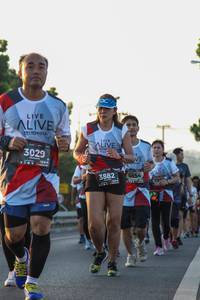 BIB: 3029, 6854, 3882
                            <button type="button" onclick="openModal(6428457)" class="btn btn-primary btn-sm float-right btn-popup" data-toggle="modal" data-target=".modal-high-quality">
                        <i class="fas fa-shopping-cart"></i> Add to Cart
                    </button>
                                            <button type="button" onclick="isThisMe(6428457, true)" class="btn btn-success btn-sm float-right btn-popup btn-isme hidden" data-toggle="tooltip" data-placement="bottom" title="นี่คือรูปของคุณใช่ไหม คลิกที่นี่เพื่อเอาเข้าอัลบั้ม">
                        <i class="fas fa-plus"></i> Add to album
                    </button>
                    <button type="button" onclick="isThisMe(6428457, false)" class="btn btn-warning btn-sm float-right btn-popup btn-isnotme hidden">
                        <i class="fas fa-ban"></i> Remove from album
                    </button>