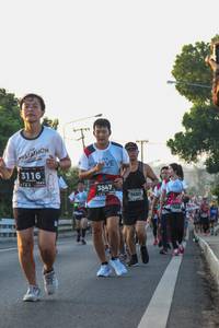 BIB: 3116, 3847, 7669
                            <button type="button" onclick="openModal(6426518)" class="btn btn-primary btn-sm float-right btn-popup" data-toggle="modal" data-target=".modal-high-quality">
                        <i class="fas fa-shopping-cart"></i> Add to Cart
                    </button>
                                            <button type="button" onclick="isThisMe(6426518, true)" class="btn btn-success btn-sm float-right btn-popup btn-isme hidden" data-toggle="tooltip" data-placement="bottom" title="นี่คือรูปของคุณใช่ไหม คลิกที่นี่เพื่อเอาเข้าอัลบั้ม">
                        <i class="fas fa-plus"></i> Add to album
                    </button>
                    <button type="button" onclick="isThisMe(6426518, false)" class="btn btn-warning btn-sm float-right btn-popup btn-isnotme hidden">
                        <i class="fas fa-ban"></i> Remove from album
                    </button>