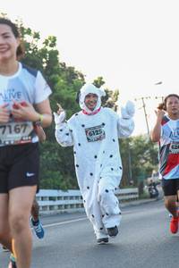 BIB: 7167, 6125, 626
                            <button type="button" onclick="openModal(6425672)" class="btn btn-primary btn-sm float-right btn-popup" data-toggle="modal" data-target=".modal-high-quality">
                        <i class="fas fa-shopping-cart"></i> Add to Cart
                    </button>
                                            <button type="button" onclick="isThisMe(6425672, true)" class="btn btn-success btn-sm float-right btn-popup btn-isme hidden" data-toggle="tooltip" data-placement="bottom" title="นี่คือรูปของคุณใช่ไหม คลิกที่นี่เพื่อเอาเข้าอัลบั้ม">
                        <i class="fas fa-plus"></i> Add to album
                    </button>
                    <button type="button" onclick="isThisMe(6425672, false)" class="btn btn-warning btn-sm float-right btn-popup btn-isnotme hidden">
                        <i class="fas fa-ban"></i> Remove from album
                    </button>