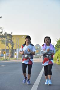 BIB: 2645, 2644
                            <button type="button" onclick="openModal(6491292)" class="btn btn-primary btn-sm float-right btn-popup" data-toggle="modal" data-target=".modal-high-quality">
                        <i class="fas fa-shopping-cart"></i> Add to Cart
                    </button>
                                            <button type="button" onclick="isThisMe(6491292, true)" class="btn btn-success btn-sm float-right btn-popup btn-isme hidden" data-toggle="tooltip" data-placement="bottom" title="นี่คือรูปของคุณใช่ไหม คลิกที่นี่เพื่อเอาเข้าอัลบั้ม">
                        <i class="fas fa-plus"></i> Add to album
                    </button>
                    <button type="button" onclick="isThisMe(6491292, false)" class="btn btn-warning btn-sm float-right btn-popup btn-isnotme hidden">
                        <i class="fas fa-ban"></i> Remove from album
                    </button>