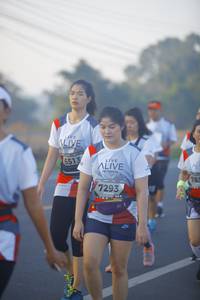 BIB: 6513, 783
                            <button type="button" onclick="openModal(6436861)" class="btn btn-primary btn-sm float-right btn-popup" data-toggle="modal" data-target=".modal-high-quality">
                        <i class="fas fa-shopping-cart"></i> Add to Cart
                    </button>
                                            <button type="button" onclick="isThisMe(6436861, true)" class="btn btn-success btn-sm float-right btn-popup btn-isme hidden" data-toggle="tooltip" data-placement="bottom" title="นี่คือรูปของคุณใช่ไหม คลิกที่นี่เพื่อเอาเข้าอัลบั้ม">
                        <i class="fas fa-plus"></i> Add to album
                    </button>
                    <button type="button" onclick="isThisMe(6436861, false)" class="btn btn-warning btn-sm float-right btn-popup btn-isnotme hidden">
                        <i class="fas fa-ban"></i> Remove from album
                    </button>