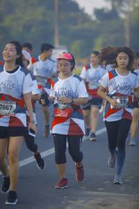 BIB: 7867
                            <button type="button" onclick="openModal(6439562)" class="btn btn-primary btn-sm float-right btn-popup" data-toggle="modal" data-target=".modal-high-quality">
                        <i class="fas fa-shopping-cart"></i> Add to Cart
                    </button>
                                            <button type="button" onclick="isThisMe(6439562, true)" class="btn btn-success btn-sm float-right btn-popup btn-isme hidden" data-toggle="tooltip" data-placement="bottom" title="นี่คือรูปของคุณใช่ไหม คลิกที่นี่เพื่อเอาเข้าอัลบั้ม">
                        <i class="fas fa-plus"></i> Add to album
                    </button>
                    <button type="button" onclick="isThisMe(6439562, false)" class="btn btn-warning btn-sm float-right btn-popup btn-isnotme hidden">
                        <i class="fas fa-ban"></i> Remove from album
                    </button>