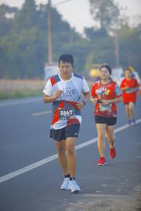 BIB: 7503, 3847
                            <button type="button" onclick="openModal(6432056)" class="btn btn-primary btn-sm float-right btn-popup" data-toggle="modal" data-target=".modal-high-quality">
                        <i class="fas fa-shopping-cart"></i> Add to Cart
                    </button>
                                            <button type="button" onclick="isThisMe(6432056, true)" class="btn btn-success btn-sm float-right btn-popup btn-isme hidden" data-toggle="tooltip" data-placement="bottom" title="นี่คือรูปของคุณใช่ไหม คลิกที่นี่เพื่อเอาเข้าอัลบั้ม">
                        <i class="fas fa-plus"></i> Add to album
                    </button>
                    <button type="button" onclick="isThisMe(6432056, false)" class="btn btn-warning btn-sm float-right btn-popup btn-isnotme hidden">
                        <i class="fas fa-ban"></i> Remove from album
                    </button>