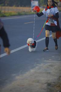 BIB: 6106
                            <button type="button" onclick="openModal(6442158)" class="btn btn-primary btn-sm float-right btn-popup" data-toggle="modal" data-target=".modal-high-quality">
                        <i class="fas fa-shopping-cart"></i> Add to Cart
                    </button>
                                            <button type="button" onclick="isThisMe(6442158, true)" class="btn btn-success btn-sm float-right btn-popup btn-isme hidden" data-toggle="tooltip" data-placement="bottom" title="นี่คือรูปของคุณใช่ไหม คลิกที่นี่เพื่อเอาเข้าอัลบั้ม">
                        <i class="fas fa-plus"></i> Add to album
                    </button>
                    <button type="button" onclick="isThisMe(6442158, false)" class="btn btn-warning btn-sm float-right btn-popup btn-isnotme hidden">
                        <i class="fas fa-ban"></i> Remove from album
                    </button>