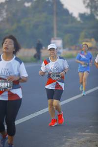 BIB: 7180, 891
                            <button type="button" onclick="openModal(6430712)" class="btn btn-primary btn-sm float-right btn-popup" data-toggle="modal" data-target=".modal-high-quality">
                        <i class="fas fa-shopping-cart"></i> Add to Cart
                    </button>
                                            <button type="button" onclick="isThisMe(6430712, true)" class="btn btn-success btn-sm float-right btn-popup btn-isme hidden" data-toggle="tooltip" data-placement="bottom" title="นี่คือรูปของคุณใช่ไหม คลิกที่นี่เพื่อเอาเข้าอัลบั้ม">
                        <i class="fas fa-plus"></i> Add to album
                    </button>
                    <button type="button" onclick="isThisMe(6430712, false)" class="btn btn-warning btn-sm float-right btn-popup btn-isnotme hidden">
                        <i class="fas fa-ban"></i> Remove from album
                    </button>