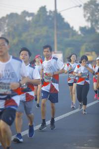 BIB: 6339, 6340, 7629
                            <button type="button" onclick="openModal(6433149)" class="btn btn-primary btn-sm float-right btn-popup" data-toggle="modal" data-target=".modal-high-quality">
                        <i class="fas fa-shopping-cart"></i> Add to Cart
                    </button>
                                            <button type="button" onclick="isThisMe(6433149, true)" class="btn btn-success btn-sm float-right btn-popup btn-isme hidden" data-toggle="tooltip" data-placement="bottom" title="นี่คือรูปของคุณใช่ไหม คลิกที่นี่เพื่อเอาเข้าอัลบั้ม">
                        <i class="fas fa-plus"></i> Add to album
                    </button>
                    <button type="button" onclick="isThisMe(6433149, false)" class="btn btn-warning btn-sm float-right btn-popup btn-isnotme hidden">
                        <i class="fas fa-ban"></i> Remove from album
                    </button>