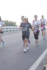 BIB: 7749, 3824
                            <button type="button" onclick="openModal(6377856)" class="btn btn-primary btn-sm float-right btn-popup" data-toggle="modal" data-target=".modal-high-quality">
                        <i class="fas fa-shopping-cart"></i> Add to Cart
                    </button>
                                            <button type="button" onclick="isThisMe(6377856, true)" class="btn btn-success btn-sm float-right btn-popup btn-isme hidden" data-toggle="tooltip" data-placement="bottom" title="นี่คือรูปของคุณใช่ไหม คลิกที่นี่เพื่อเอาเข้าอัลบั้ม">
                        <i class="fas fa-plus"></i> Add to album
                    </button>
                    <button type="button" onclick="isThisMe(6377856, false)" class="btn btn-warning btn-sm float-right btn-popup btn-isnotme hidden">
                        <i class="fas fa-ban"></i> Remove from album
                    </button>