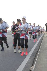 BIB: 799, 876, 6385
                            <button type="button" onclick="openModal(6384629)" class="btn btn-primary btn-sm float-right btn-popup" data-toggle="modal" data-target=".modal-high-quality">
                        <i class="fas fa-shopping-cart"></i> Add to Cart
                    </button>
                                            <button type="button" onclick="isThisMe(6384629, true)" class="btn btn-success btn-sm float-right btn-popup btn-isme hidden" data-toggle="tooltip" data-placement="bottom" title="นี่คือรูปของคุณใช่ไหม คลิกที่นี่เพื่อเอาเข้าอัลบั้ม">
                        <i class="fas fa-plus"></i> Add to album
                    </button>
                    <button type="button" onclick="isThisMe(6384629, false)" class="btn btn-warning btn-sm float-right btn-popup btn-isnotme hidden">
                        <i class="fas fa-ban"></i> Remove from album
                    </button>