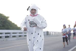 BIB: 6125
                            <button type="button" onclick="openModal(6383643)" class="btn btn-primary btn-sm float-right btn-popup" data-toggle="modal" data-target=".modal-high-quality">
                        <i class="fas fa-shopping-cart"></i> Add to Cart
                    </button>
                                            <button type="button" onclick="isThisMe(6383643, true)" class="btn btn-success btn-sm float-right btn-popup btn-isme hidden" data-toggle="tooltip" data-placement="bottom" title="นี่คือรูปของคุณใช่ไหม คลิกที่นี่เพื่อเอาเข้าอัลบั้ม">
                        <i class="fas fa-plus"></i> Add to album
                    </button>
                    <button type="button" onclick="isThisMe(6383643, false)" class="btn btn-warning btn-sm float-right btn-popup btn-isnotme hidden">
                        <i class="fas fa-ban"></i> Remove from album
                    </button>