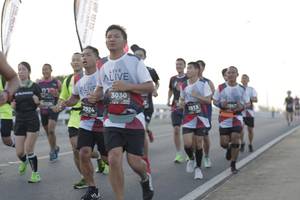 BIB: 3030, 2924, 513
                            <button type="button" onclick="openModal(6380983)" class="btn btn-primary btn-sm float-right btn-popup" data-toggle="modal" data-target=".modal-high-quality">
                        <i class="fas fa-shopping-cart"></i> Add to Cart
                    </button>
                                            <button type="button" onclick="isThisMe(6380983, true)" class="btn btn-success btn-sm float-right btn-popup btn-isme hidden" data-toggle="tooltip" data-placement="bottom" title="นี่คือรูปของคุณใช่ไหม คลิกที่นี่เพื่อเอาเข้าอัลบั้ม">
                        <i class="fas fa-plus"></i> Add to album
                    </button>
                    <button type="button" onclick="isThisMe(6380983, false)" class="btn btn-warning btn-sm float-right btn-popup btn-isnotme hidden">
                        <i class="fas fa-ban"></i> Remove from album
                    </button>