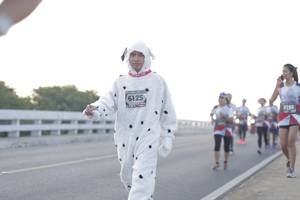 BIB: 6125, 219
                            <button type="button" onclick="openModal(6383638)" class="btn btn-primary btn-sm float-right btn-popup" data-toggle="modal" data-target=".modal-high-quality">
                        <i class="fas fa-shopping-cart"></i> Add to Cart
                    </button>
                                            <button type="button" onclick="isThisMe(6383638, true)" class="btn btn-success btn-sm float-right btn-popup btn-isme hidden" data-toggle="tooltip" data-placement="bottom" title="นี่คือรูปของคุณใช่ไหม คลิกที่นี่เพื่อเอาเข้าอัลบั้ม">
                        <i class="fas fa-plus"></i> Add to album
                    </button>
                    <button type="button" onclick="isThisMe(6383638, false)" class="btn btn-warning btn-sm float-right btn-popup btn-isnotme hidden">
                        <i class="fas fa-ban"></i> Remove from album
                    </button>