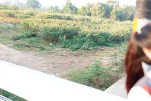 BIB: 
                            <button type="button" onclick="openModal(6437127)" class="btn btn-primary btn-sm float-right btn-popup" data-toggle="modal" data-target=".modal-high-quality">
                        <i class="fas fa-shopping-cart"></i> Add to Cart
                    </button>
                                            <button type="button" onclick="isThisMe(6437127, true)" class="btn btn-success btn-sm float-right btn-popup btn-isme hidden" data-toggle="tooltip" data-placement="bottom" title="นี่คือรูปของคุณใช่ไหม คลิกที่นี่เพื่อเอาเข้าอัลบั้ม">
                        <i class="fas fa-plus"></i> Add to album
                    </button>
                    <button type="button" onclick="isThisMe(6437127, false)" class="btn btn-warning btn-sm float-right btn-popup btn-isnotme hidden">
                        <i class="fas fa-ban"></i> Remove from album
                    </button>