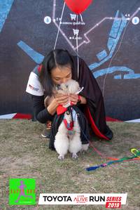 BIB: 2019
                            <button type="button" onclick="openModal(6567374)" class="btn btn-primary btn-sm float-right btn-popup" data-toggle="modal" data-target=".modal-high-quality">
                        <i class="fas fa-shopping-cart"></i> Add to Cart
                    </button>
                                            <button type="button" onclick="isThisMe(6567374, true)" class="btn btn-success btn-sm float-right btn-popup btn-isme hidden" data-toggle="tooltip" data-placement="bottom" title="นี่คือรูปของคุณใช่ไหม คลิกที่นี่เพื่อเอาเข้าอัลบั้ม">
                        <i class="fas fa-plus"></i> Add to album
                    </button>
                    <button type="button" onclick="isThisMe(6567374, false)" class="btn btn-warning btn-sm float-right btn-popup btn-isnotme hidden">
                        <i class="fas fa-ban"></i> Remove from album
                    </button>