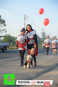 BIB: 7419, 6106, 2019
                            <button type="button" onclick="openModal(6573312)" class="btn btn-primary btn-sm float-right btn-popup" data-toggle="modal" data-target=".modal-high-quality">
                        <i class="fas fa-shopping-cart"></i> Add to Cart
                    </button>
                                            <button type="button" onclick="isThisMe(6573312, true)" class="btn btn-success btn-sm float-right btn-popup btn-isme hidden" data-toggle="tooltip" data-placement="bottom" title="นี่คือรูปของคุณใช่ไหม คลิกที่นี่เพื่อเอาเข้าอัลบั้ม">
                        <i class="fas fa-plus"></i> Add to album
                    </button>
                    <button type="button" onclick="isThisMe(6573312, false)" class="btn btn-warning btn-sm float-right btn-popup btn-isnotme hidden">
                        <i class="fas fa-ban"></i> Remove from album
                    </button>