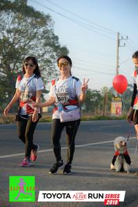 BIB: 316, 501, 2019
                            <button type="button" onclick="openModal(6573302)" class="btn btn-primary btn-sm float-right btn-popup" data-toggle="modal" data-target=".modal-high-quality">
                        <i class="fas fa-shopping-cart"></i> Add to Cart
                    </button>
                                            <button type="button" onclick="isThisMe(6573302, true)" class="btn btn-success btn-sm float-right btn-popup btn-isme hidden" data-toggle="tooltip" data-placement="bottom" title="นี่คือรูปของคุณใช่ไหม คลิกที่นี่เพื่อเอาเข้าอัลบั้ม">
                        <i class="fas fa-plus"></i> Add to album
                    </button>
                    <button type="button" onclick="isThisMe(6573302, false)" class="btn btn-warning btn-sm float-right btn-popup btn-isnotme hidden">
                        <i class="fas fa-ban"></i> Remove from album
                    </button>