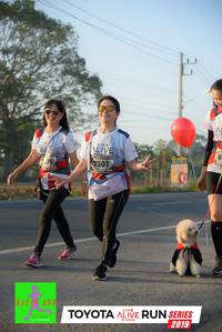 BIB: 7501, 2019
                            <button type="button" onclick="openModal(6573301)" class="btn btn-primary btn-sm float-right btn-popup" data-toggle="modal" data-target=".modal-high-quality">
                        <i class="fas fa-shopping-cart"></i> Add to Cart
                    </button>
                                            <button type="button" onclick="isThisMe(6573301, true)" class="btn btn-success btn-sm float-right btn-popup btn-isme hidden" data-toggle="tooltip" data-placement="bottom" title="นี่คือรูปของคุณใช่ไหม คลิกที่นี่เพื่อเอาเข้าอัลบั้ม">
                        <i class="fas fa-plus"></i> Add to album
                    </button>
                    <button type="button" onclick="isThisMe(6573301, false)" class="btn btn-warning btn-sm float-right btn-popup btn-isnotme hidden">
                        <i class="fas fa-ban"></i> Remove from album
                    </button>