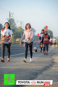 BIB: 7988, 426, 6213, 2019
                            <button type="button" onclick="openModal(6573210)" class="btn btn-primary btn-sm float-right btn-popup" data-toggle="modal" data-target=".modal-high-quality">
                        <i class="fas fa-shopping-cart"></i> Add to Cart
                    </button>
                                            <button type="button" onclick="isThisMe(6573210, true)" class="btn btn-success btn-sm float-right btn-popup btn-isme hidden" data-toggle="tooltip" data-placement="bottom" title="นี่คือรูปของคุณใช่ไหม คลิกที่นี่เพื่อเอาเข้าอัลบั้ม">
                        <i class="fas fa-plus"></i> Add to album
                    </button>
                    <button type="button" onclick="isThisMe(6573210, false)" class="btn btn-warning btn-sm float-right btn-popup btn-isnotme hidden">
                        <i class="fas fa-ban"></i> Remove from album
                    </button>