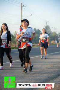 BIB: 3156, 2641, 7897, 2019
                            <button type="button" onclick="openModal(6568017)" class="btn btn-primary btn-sm float-right btn-popup" data-toggle="modal" data-target=".modal-high-quality">
                        <i class="fas fa-shopping-cart"></i> Add to Cart
                    </button>
                                            <button type="button" onclick="isThisMe(6568017, true)" class="btn btn-success btn-sm float-right btn-popup btn-isme hidden" data-toggle="tooltip" data-placement="bottom" title="นี่คือรูปของคุณใช่ไหม คลิกที่นี่เพื่อเอาเข้าอัลบั้ม">
                        <i class="fas fa-plus"></i> Add to album
                    </button>
                    <button type="button" onclick="isThisMe(6568017, false)" class="btn btn-warning btn-sm float-right btn-popup btn-isnotme hidden">
                        <i class="fas fa-ban"></i> Remove from album
                    </button>