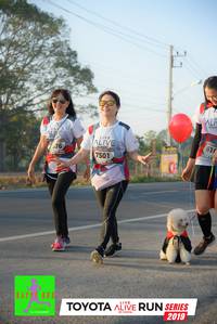 BIB: 610, 7501, 2019
                            <button type="button" onclick="openModal(6573300)" class="btn btn-primary btn-sm float-right btn-popup" data-toggle="modal" data-target=".modal-high-quality">
                        <i class="fas fa-shopping-cart"></i> Add to Cart
                    </button>
                                            <button type="button" onclick="isThisMe(6573300, true)" class="btn btn-success btn-sm float-right btn-popup btn-isme hidden" data-toggle="tooltip" data-placement="bottom" title="นี่คือรูปของคุณใช่ไหม คลิกที่นี่เพื่อเอาเข้าอัลบั้ม">
                        <i class="fas fa-plus"></i> Add to album
                    </button>
                    <button type="button" onclick="isThisMe(6573300, false)" class="btn btn-warning btn-sm float-right btn-popup btn-isnotme hidden">
                        <i class="fas fa-ban"></i> Remove from album
                    </button>