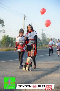 BIB: 6106, 7419, 2019
                            <button type="button" onclick="openModal(6573307)" class="btn btn-primary btn-sm float-right btn-popup" data-toggle="modal" data-target=".modal-high-quality">
                        <i class="fas fa-shopping-cart"></i> Add to Cart
                    </button>
                                            <button type="button" onclick="isThisMe(6573307, true)" class="btn btn-success btn-sm float-right btn-popup btn-isme hidden" data-toggle="tooltip" data-placement="bottom" title="นี่คือรูปของคุณใช่ไหม คลิกที่นี่เพื่อเอาเข้าอัลบั้ม">
                        <i class="fas fa-plus"></i> Add to album
                    </button>
                    <button type="button" onclick="isThisMe(6573307, false)" class="btn btn-warning btn-sm float-right btn-popup btn-isnotme hidden">
                        <i class="fas fa-ban"></i> Remove from album
                    </button>