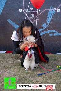 BIB: 2019
                            <button type="button" onclick="openModal(6567298)" class="btn btn-primary btn-sm float-right btn-popup" data-toggle="modal" data-target=".modal-high-quality">
                        <i class="fas fa-shopping-cart"></i> Add to Cart
                    </button>
                                            <button type="button" onclick="isThisMe(6567298, true)" class="btn btn-success btn-sm float-right btn-popup btn-isme hidden" data-toggle="tooltip" data-placement="bottom" title="นี่คือรูปของคุณใช่ไหม คลิกที่นี่เพื่อเอาเข้าอัลบั้ม">
                        <i class="fas fa-plus"></i> Add to album
                    </button>
                    <button type="button" onclick="isThisMe(6567298, false)" class="btn btn-warning btn-sm float-right btn-popup btn-isnotme hidden">
                        <i class="fas fa-ban"></i> Remove from album
                    </button>