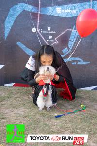 BIB: 2019
                            <button type="button" onclick="openModal(6567354)" class="btn btn-primary btn-sm float-right btn-popup" data-toggle="modal" data-target=".modal-high-quality">
                        <i class="fas fa-shopping-cart"></i> Add to Cart
                    </button>
                                            <button type="button" onclick="isThisMe(6567354, true)" class="btn btn-success btn-sm float-right btn-popup btn-isme hidden" data-toggle="tooltip" data-placement="bottom" title="นี่คือรูปของคุณใช่ไหม คลิกที่นี่เพื่อเอาเข้าอัลบั้ม">
                        <i class="fas fa-plus"></i> Add to album
                    </button>
                    <button type="button" onclick="isThisMe(6567354, false)" class="btn btn-warning btn-sm float-right btn-popup btn-isnotme hidden">
                        <i class="fas fa-ban"></i> Remove from album
                    </button>