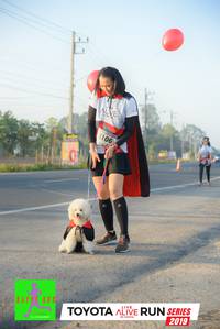 BIB: 5106, 2019
                            <button type="button" onclick="openModal(6573284)" class="btn btn-primary btn-sm float-right btn-popup" data-toggle="modal" data-target=".modal-high-quality">
                        <i class="fas fa-shopping-cart"></i> Add to Cart
                    </button>
                                            <button type="button" onclick="isThisMe(6573284, true)" class="btn btn-success btn-sm float-right btn-popup btn-isme hidden" data-toggle="tooltip" data-placement="bottom" title="นี่คือรูปของคุณใช่ไหม คลิกที่นี่เพื่อเอาเข้าอัลบั้ม">
                        <i class="fas fa-plus"></i> Add to album
                    </button>
                    <button type="button" onclick="isThisMe(6573284, false)" class="btn btn-warning btn-sm float-right btn-popup btn-isnotme hidden">
                        <i class="fas fa-ban"></i> Remove from album
                    </button>