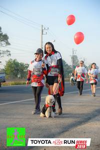 BIB: 7419, 6106, 2019
                            <button type="button" onclick="openModal(6573314)" class="btn btn-primary btn-sm float-right btn-popup" data-toggle="modal" data-target=".modal-high-quality">
                        <i class="fas fa-shopping-cart"></i> Add to Cart
                    </button>
                                            <button type="button" onclick="isThisMe(6573314, true)" class="btn btn-success btn-sm float-right btn-popup btn-isme hidden" data-toggle="tooltip" data-placement="bottom" title="นี่คือรูปของคุณใช่ไหม คลิกที่นี่เพื่อเอาเข้าอัลบั้ม">
                        <i class="fas fa-plus"></i> Add to album
                    </button>
                    <button type="button" onclick="isThisMe(6573314, false)" class="btn btn-warning btn-sm float-right btn-popup btn-isnotme hidden">
                        <i class="fas fa-ban"></i> Remove from album
                    </button>