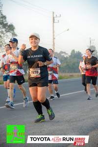 BIB: 2013, 7878, 2019
                            <button type="button" onclick="openModal(6544053)" class="btn btn-primary btn-sm float-right btn-popup" data-toggle="modal" data-target=".modal-high-quality">
                        <i class="fas fa-shopping-cart"></i> Add to Cart
                    </button>
                                            <button type="button" onclick="isThisMe(6544053, true)" class="btn btn-success btn-sm float-right btn-popup btn-isme hidden" data-toggle="tooltip" data-placement="bottom" title="นี่คือรูปของคุณใช่ไหม คลิกที่นี่เพื่อเอาเข้าอัลบั้ม">
                        <i class="fas fa-plus"></i> Add to album
                    </button>
                    <button type="button" onclick="isThisMe(6544053, false)" class="btn btn-warning btn-sm float-right btn-popup btn-isnotme hidden">
                        <i class="fas fa-ban"></i> Remove from album
                    </button>