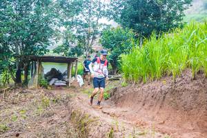 BIB: 
                            <button type="button" onclick="openModal(13264154)" class="btn btn-primary btn-sm float-right btn-popup" data-toggle="modal" data-target=".modal-high-quality">
                        <i class="fas fa-shopping-cart"></i> Add to Cart
                    </button>
                                            <button type="button" onclick="isThisMe(13264154, true)" class="btn btn-success btn-sm float-right btn-popup btn-isme hidden" data-toggle="tooltip" data-placement="bottom" title="นี่คือรูปของคุณใช่ไหม คลิกที่นี่เพื่อเอาเข้าอัลบั้ม">
                        <i class="fas fa-plus"></i> Add to album
                    </button>
                    <button type="button" onclick="isThisMe(13264154, false)" class="btn btn-warning btn-sm float-right btn-popup btn-isnotme hidden">
                        <i class="fas fa-ban"></i> Remove from album
                    </button>