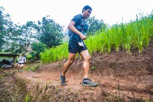 BIB: 
                            <button type="button" onclick="openModal(13264173)" class="btn btn-primary btn-sm float-right btn-popup" data-toggle="modal" data-target=".modal-high-quality">
                        <i class="fas fa-shopping-cart"></i> Add to Cart
                    </button>
                                            <button type="button" onclick="isThisMe(13264173, true)" class="btn btn-success btn-sm float-right btn-popup btn-isme hidden" data-toggle="tooltip" data-placement="bottom" title="นี่คือรูปของคุณใช่ไหม คลิกที่นี่เพื่อเอาเข้าอัลบั้ม">
                        <i class="fas fa-plus"></i> Add to album
                    </button>
                    <button type="button" onclick="isThisMe(13264173, false)" class="btn btn-warning btn-sm float-right btn-popup btn-isnotme hidden">
                        <i class="fas fa-ban"></i> Remove from album
                    </button>