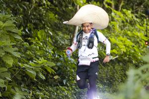 BIB: 
                            <button type="button" onclick="openModal(13316371)" class="btn btn-primary btn-sm float-right btn-popup" data-toggle="modal" data-target=".modal-high-quality">
                        <i class="fas fa-shopping-cart"></i> Add to Cart
                    </button>
                                            <button type="button" onclick="isThisMe(13316371, true)" class="btn btn-success btn-sm float-right btn-popup btn-isme hidden" data-toggle="tooltip" data-placement="bottom" title="นี่คือรูปของคุณใช่ไหม คลิกที่นี่เพื่อเอาเข้าอัลบั้ม">
                        <i class="fas fa-plus"></i> Add to album
                    </button>
                    <button type="button" onclick="isThisMe(13316371, false)" class="btn btn-warning btn-sm float-right btn-popup btn-isnotme hidden">
                        <i class="fas fa-ban"></i> Remove from album
                    </button>