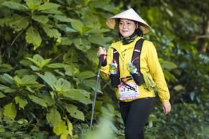 BIB: 
                            <button type="button" onclick="openModal(13316335)" class="btn btn-primary btn-sm float-right btn-popup" data-toggle="modal" data-target=".modal-high-quality">
                        <i class="fas fa-shopping-cart"></i> Add to Cart
                    </button>
                                            <button type="button" onclick="isThisMe(13316335, true)" class="btn btn-success btn-sm float-right btn-popup btn-isme hidden" data-toggle="tooltip" data-placement="bottom" title="นี่คือรูปของคุณใช่ไหม คลิกที่นี่เพื่อเอาเข้าอัลบั้ม">
                        <i class="fas fa-plus"></i> Add to album
                    </button>
                    <button type="button" onclick="isThisMe(13316335, false)" class="btn btn-warning btn-sm float-right btn-popup btn-isnotme hidden">
                        <i class="fas fa-ban"></i> Remove from album
                    </button>