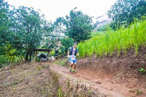 BIB: 
                            <button type="button" onclick="openModal(13263942)" class="btn btn-primary btn-sm float-right btn-popup" data-toggle="modal" data-target=".modal-high-quality">
                        <i class="fas fa-shopping-cart"></i> Add to Cart
                    </button>
                                            <button type="button" onclick="isThisMe(13263942, true)" class="btn btn-success btn-sm float-right btn-popup btn-isme hidden" data-toggle="tooltip" data-placement="bottom" title="นี่คือรูปของคุณใช่ไหม คลิกที่นี่เพื่อเอาเข้าอัลบั้ม">
                        <i class="fas fa-plus"></i> Add to album
                    </button>
                    <button type="button" onclick="isThisMe(13263942, false)" class="btn btn-warning btn-sm float-right btn-popup btn-isnotme hidden">
                        <i class="fas fa-ban"></i> Remove from album
                    </button>