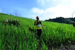 BIB: 
                            <button type="button" onclick="openModal(13316763)" class="btn btn-primary btn-sm float-right btn-popup" data-toggle="modal" data-target=".modal-high-quality">
                        <i class="fas fa-shopping-cart"></i> Add to Cart
                    </button>
                                            <button type="button" onclick="isThisMe(13316763, true)" class="btn btn-success btn-sm float-right btn-popup btn-isme hidden" data-toggle="tooltip" data-placement="bottom" title="นี่คือรูปของคุณใช่ไหม คลิกที่นี่เพื่อเอาเข้าอัลบั้ม">
                        <i class="fas fa-plus"></i> Add to album
                    </button>
                    <button type="button" onclick="isThisMe(13316763, false)" class="btn btn-warning btn-sm float-right btn-popup btn-isnotme hidden">
                        <i class="fas fa-ban"></i> Remove from album
                    </button>