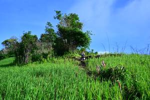 BIB: 
                            <button type="button" onclick="openModal(13316451)" class="btn btn-primary btn-sm float-right btn-popup" data-toggle="modal" data-target=".modal-high-quality">
                        <i class="fas fa-shopping-cart"></i> Add to Cart
                    </button>
                                            <button type="button" onclick="isThisMe(13316451, true)" class="btn btn-success btn-sm float-right btn-popup btn-isme hidden" data-toggle="tooltip" data-placement="bottom" title="นี่คือรูปของคุณใช่ไหม คลิกที่นี่เพื่อเอาเข้าอัลบั้ม">
                        <i class="fas fa-plus"></i> Add to album
                    </button>
                    <button type="button" onclick="isThisMe(13316451, false)" class="btn btn-warning btn-sm float-right btn-popup btn-isnotme hidden">
                        <i class="fas fa-ban"></i> Remove from album
                    </button>