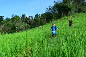 BIB: 
                            <button type="button" onclick="openModal(13256707)" class="btn btn-primary btn-sm float-right btn-popup" data-toggle="modal" data-target=".modal-high-quality">
                        <i class="fas fa-shopping-cart"></i> Add to Cart
                    </button>
                                            <button type="button" onclick="isThisMe(13256707, true)" class="btn btn-success btn-sm float-right btn-popup btn-isme hidden" data-toggle="tooltip" data-placement="bottom" title="นี่คือรูปของคุณใช่ไหม คลิกที่นี่เพื่อเอาเข้าอัลบั้ม">
                        <i class="fas fa-plus"></i> Add to album
                    </button>
                    <button type="button" onclick="isThisMe(13256707, false)" class="btn btn-warning btn-sm float-right btn-popup btn-isnotme hidden">
                        <i class="fas fa-ban"></i> Remove from album
                    </button>