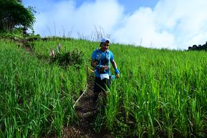 BIB: 
                            <button type="button" onclick="openModal(13316798)" class="btn btn-primary btn-sm float-right btn-popup" data-toggle="modal" data-target=".modal-high-quality">
                        <i class="fas fa-shopping-cart"></i> Add to Cart
                    </button>
                                            <button type="button" onclick="isThisMe(13316798, true)" class="btn btn-success btn-sm float-right btn-popup btn-isme hidden" data-toggle="tooltip" data-placement="bottom" title="นี่คือรูปของคุณใช่ไหม คลิกที่นี่เพื่อเอาเข้าอัลบั้ม">
                        <i class="fas fa-plus"></i> Add to album
                    </button>
                    <button type="button" onclick="isThisMe(13316798, false)" class="btn btn-warning btn-sm float-right btn-popup btn-isnotme hidden">
                        <i class="fas fa-ban"></i> Remove from album
                    </button>