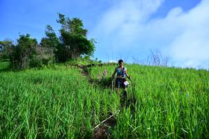 BIB: 
                            <button type="button" onclick="openModal(13316455)" class="btn btn-primary btn-sm float-right btn-popup" data-toggle="modal" data-target=".modal-high-quality">
                        <i class="fas fa-shopping-cart"></i> Add to Cart
                    </button>
                                            <button type="button" onclick="isThisMe(13316455, true)" class="btn btn-success btn-sm float-right btn-popup btn-isme hidden" data-toggle="tooltip" data-placement="bottom" title="นี่คือรูปของคุณใช่ไหม คลิกที่นี่เพื่อเอาเข้าอัลบั้ม">
                        <i class="fas fa-plus"></i> Add to album
                    </button>
                    <button type="button" onclick="isThisMe(13316455, false)" class="btn btn-warning btn-sm float-right btn-popup btn-isnotme hidden">
                        <i class="fas fa-ban"></i> Remove from album
                    </button>