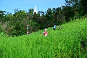 BIB: 
                            <button type="button" onclick="openModal(13255869)" class="btn btn-primary btn-sm float-right btn-popup" data-toggle="modal" data-target=".modal-high-quality">
                        <i class="fas fa-shopping-cart"></i> Add to Cart
                    </button>
                                            <button type="button" onclick="isThisMe(13255869, true)" class="btn btn-success btn-sm float-right btn-popup btn-isme hidden" data-toggle="tooltip" data-placement="bottom" title="นี่คือรูปของคุณใช่ไหม คลิกที่นี่เพื่อเอาเข้าอัลบั้ม">
                        <i class="fas fa-plus"></i> Add to album
                    </button>
                    <button type="button" onclick="isThisMe(13255869, false)" class="btn btn-warning btn-sm float-right btn-popup btn-isnotme hidden">
                        <i class="fas fa-ban"></i> Remove from album
                    </button>